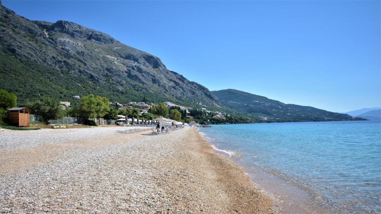 Wiola's Μπαρμπάτι